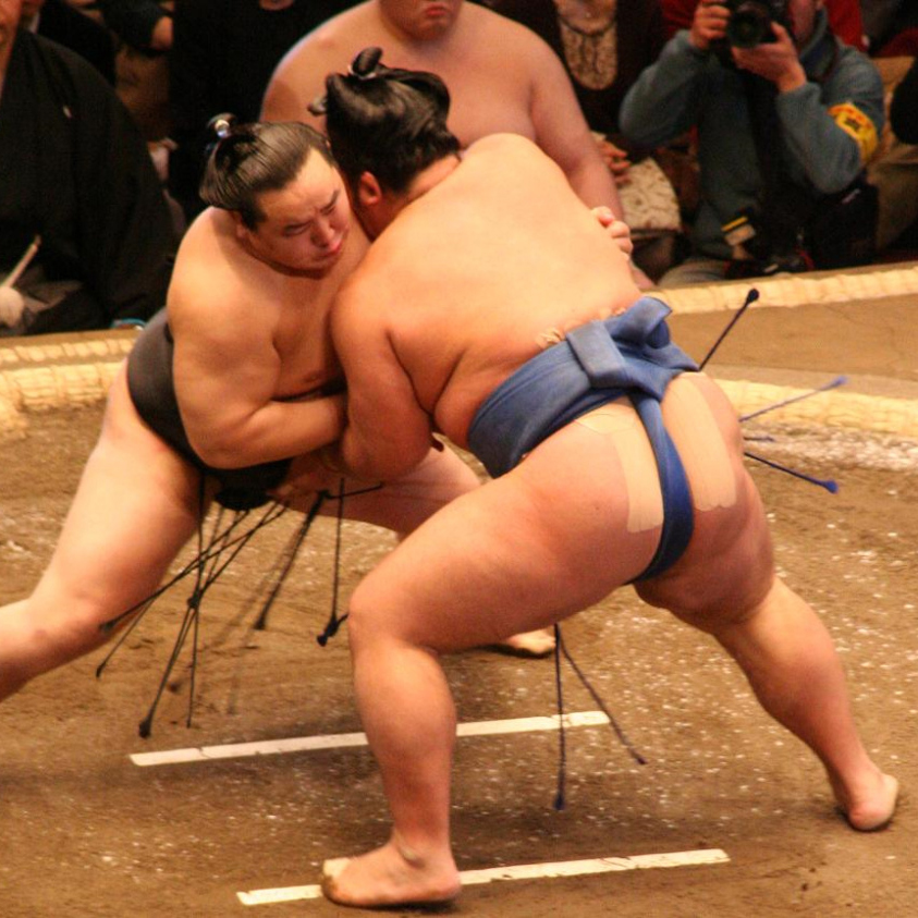 japansumo