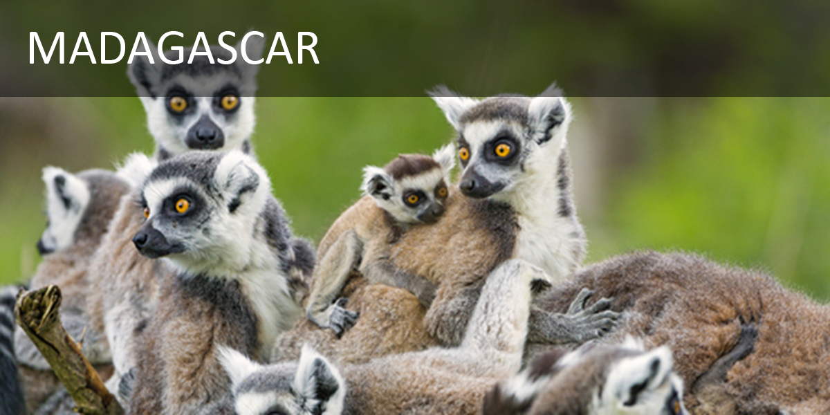 madagascar